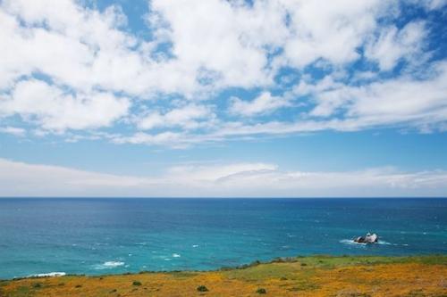 Landscape;Petal;Petals;Blooming;Blue;Clouds;Flower;Shore;Shoreline;California Poppies;Flowering;Cloud Formation;Aqua;Weather;Rock;Orange;Seascape;Cloud;California;Green;Coast;Coastline;Big Sur;Ocean;California Poppy;Blossom;Bloom;Sea;Sky;Water;Flowers
